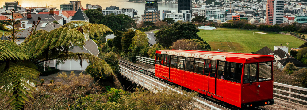 Transport Wellington