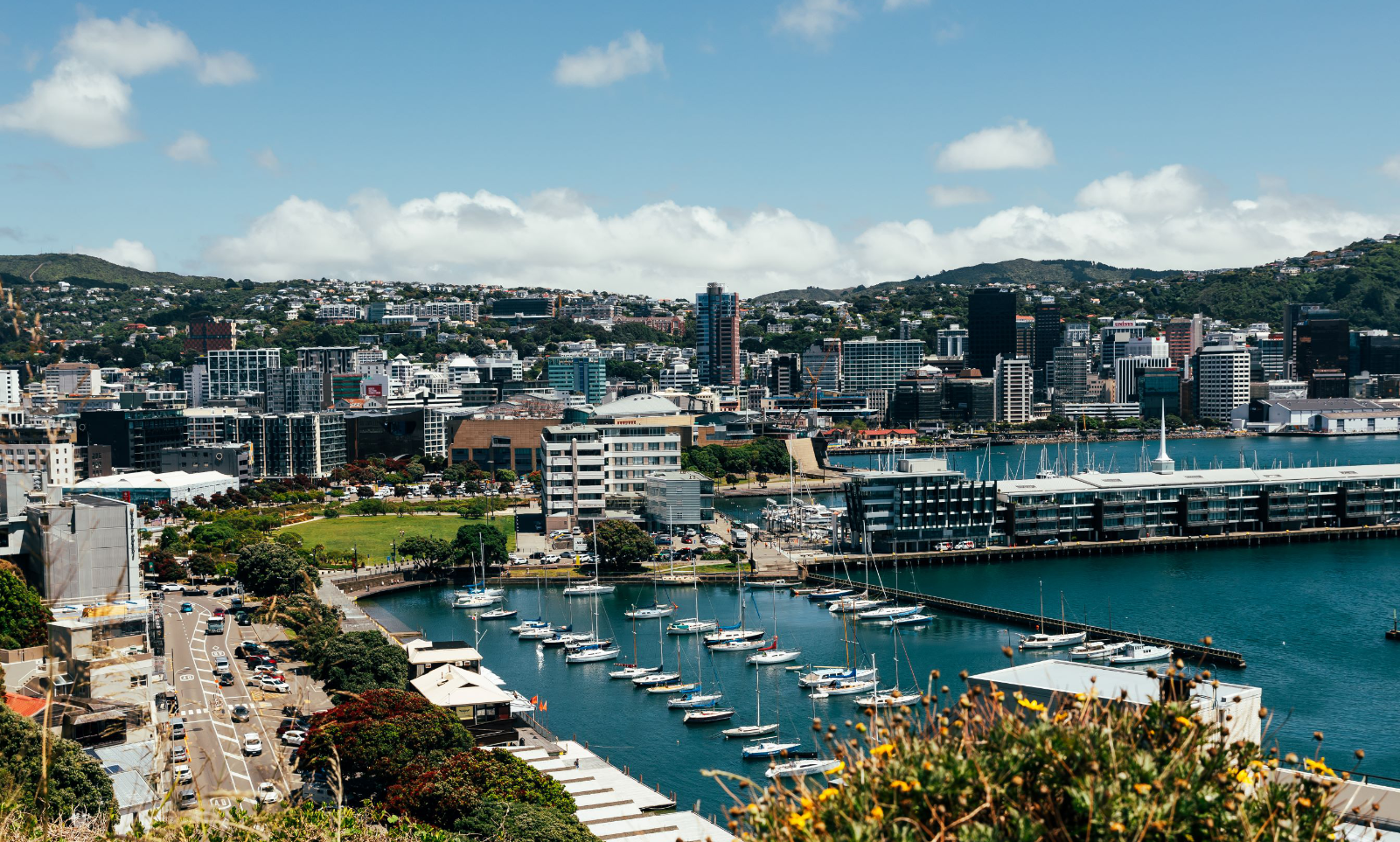 Wellington 1